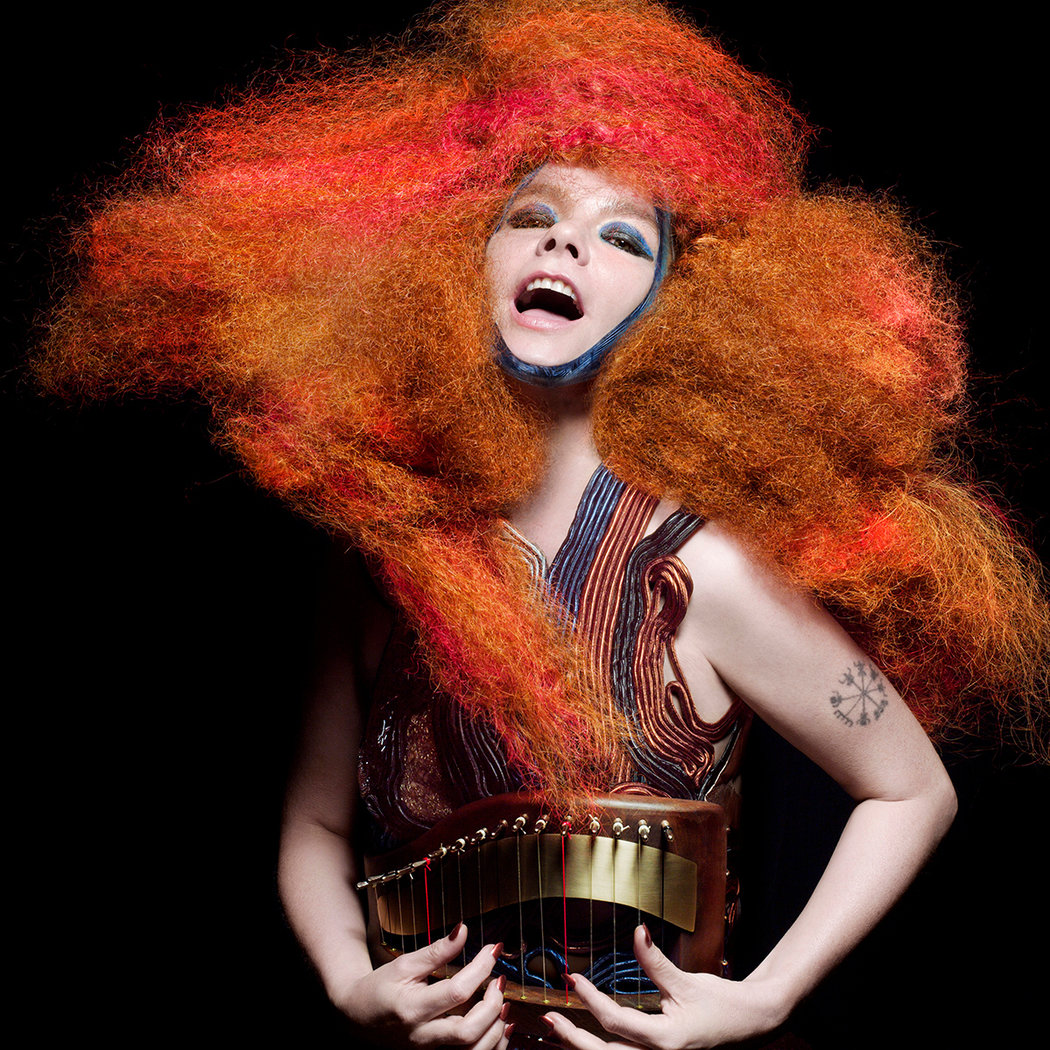 【美術解説】ニューヨーク近代美術館「Björk」