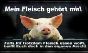 Links Und Coole Spruche Rottweiler Vom Segeberger Forst Webseite Rottweilerwelpen Rottweiler Rottweilerzucht Rottweilerzuchter