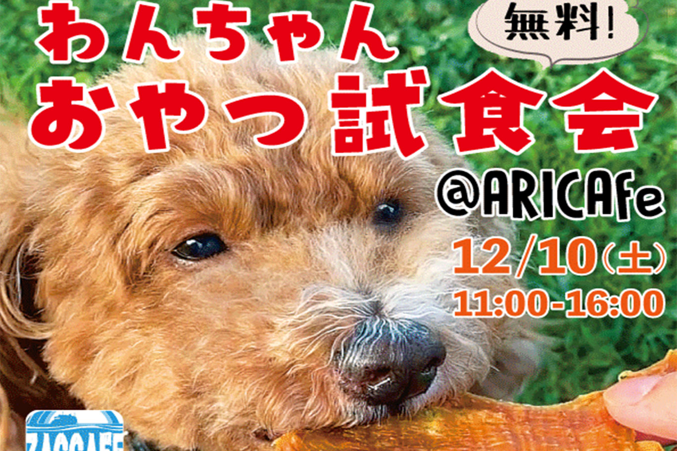 12/10(土)わんちゃんおやつ試食会！