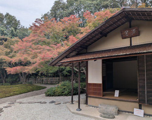 お茶室　茶事　茶室　四畳半　紅葉　沓石　貴人口　小間　万里庵