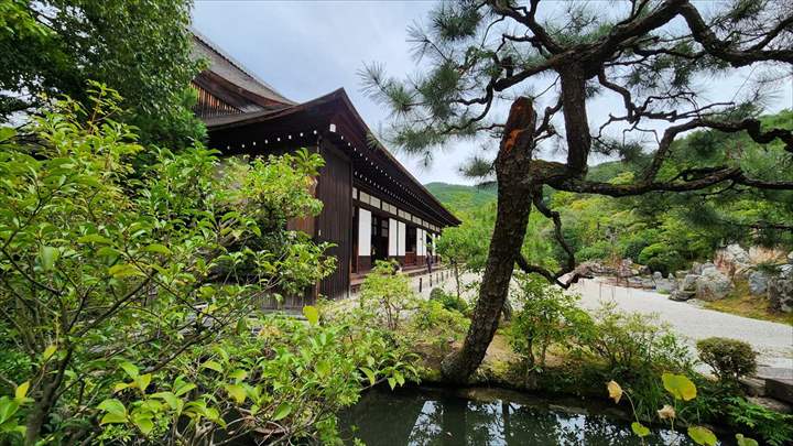 「金地院 八窓席 見学」 茶室・数寄屋の相談から設計、建築まで アーキスタジオ哲 一級建築士事務所