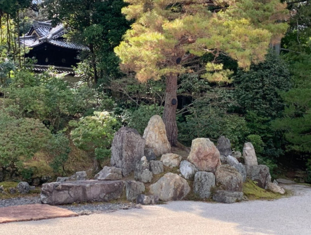 「金地院 八窓席 見学」 茶室・数寄屋の相談から設計、建築まで アーキスタジオ哲 一級建築士事務所