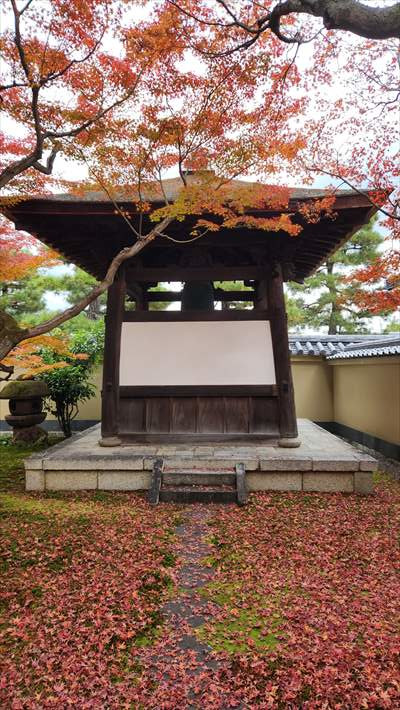 「黄梅院見学」 お茶室の相談 アーキスタジオ哲 一級建築士事務所