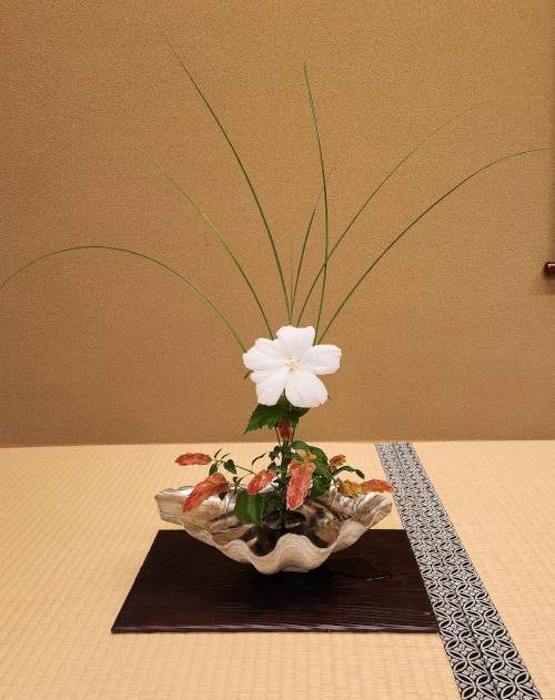 「お茶会」　茶室・数寄屋の設計　アーキスタジオ哲　一級建築士事務所