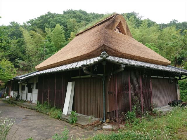 茅葺屋根、去年葺き替え、きれい