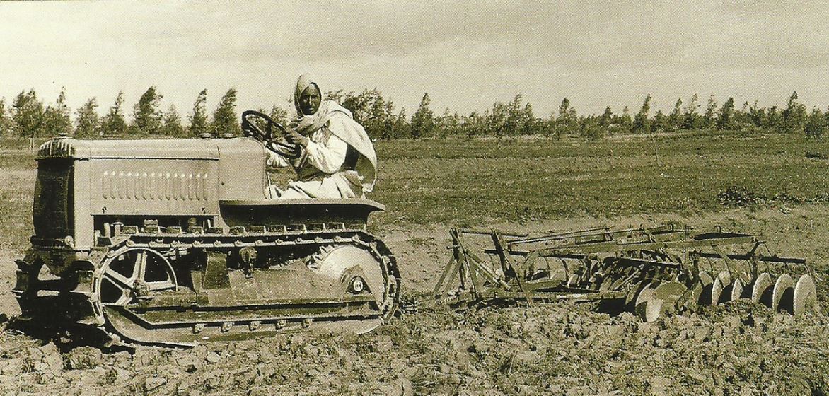 Fiat 708C (Tipo 20) Raupentraktor (Quelle: CNH)