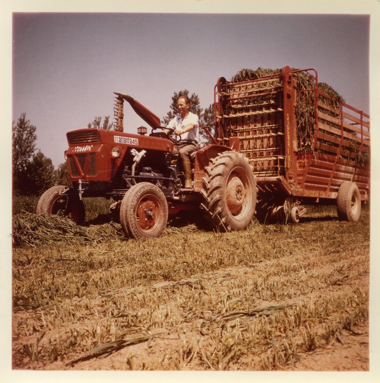 SAME Atlanta 45 Traktor (Quelle: SDF Archiv)