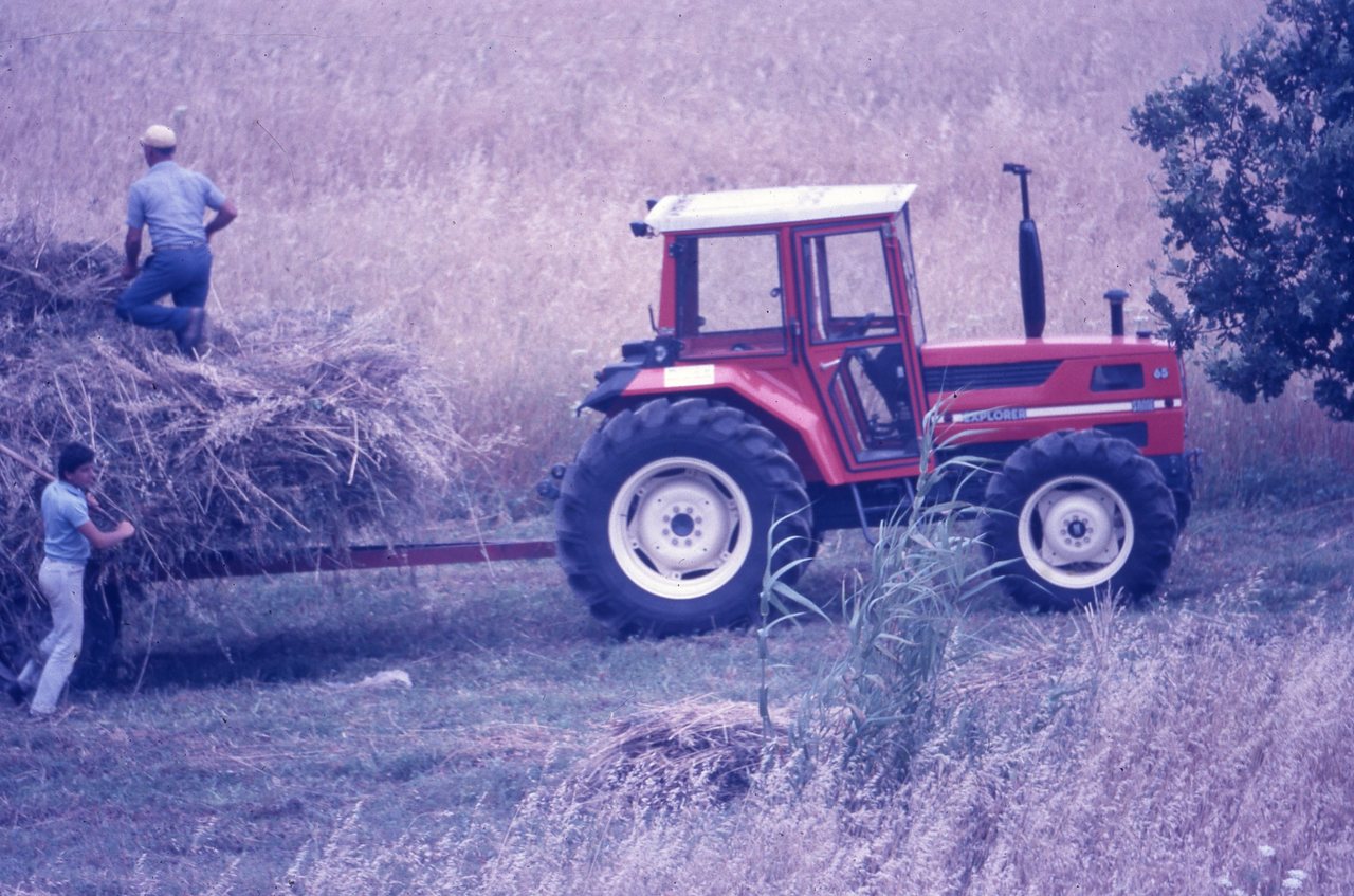 SAME Explorer 65 Traktor (Quelle: SDF Archiv)