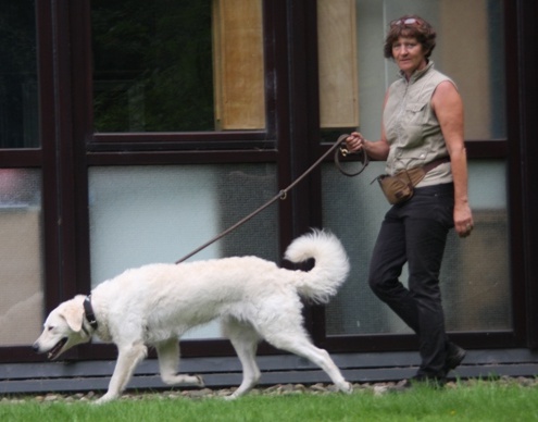 Irmhild & Youmi 2014