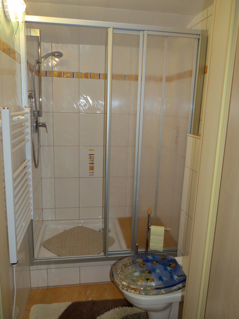 Biohof Haus Wieser, Abtenau, App. 5-8 Personen Badezimmer 2