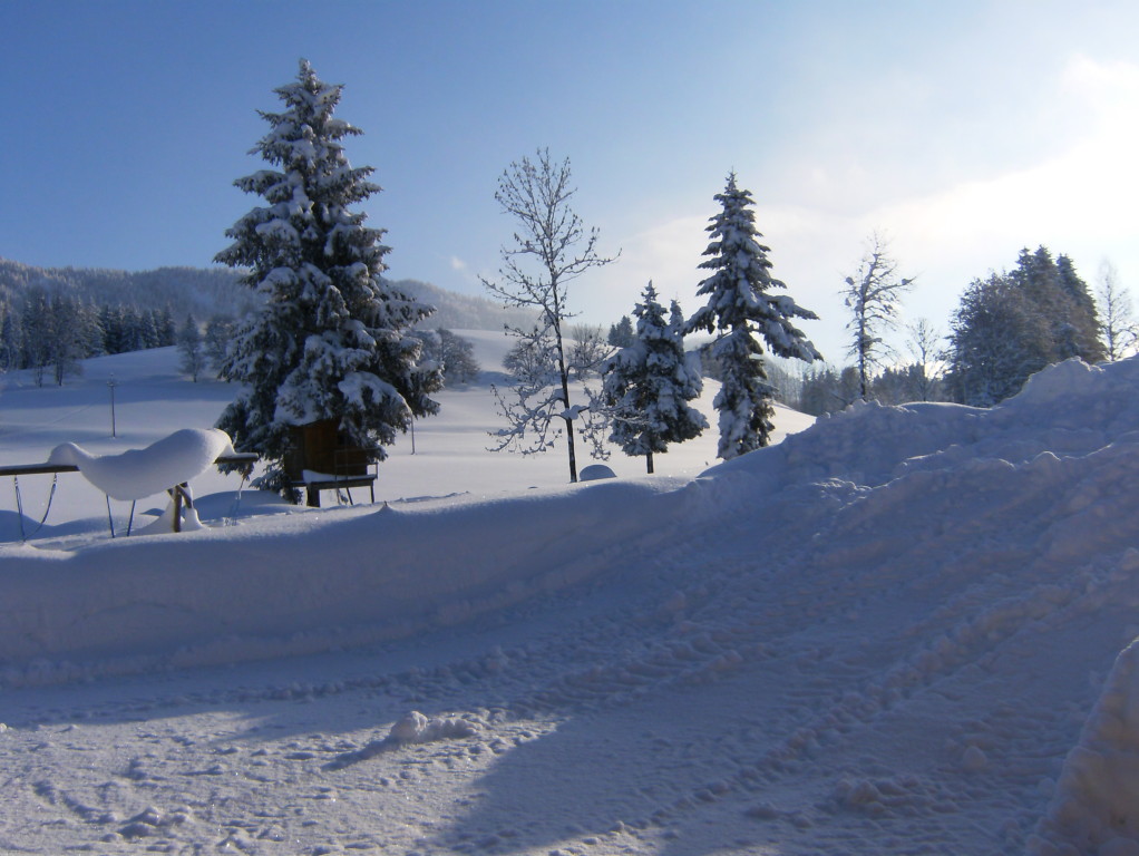 Biohof Haus Wieser, Abtenau, Salzburg Land, Winterlandschaft