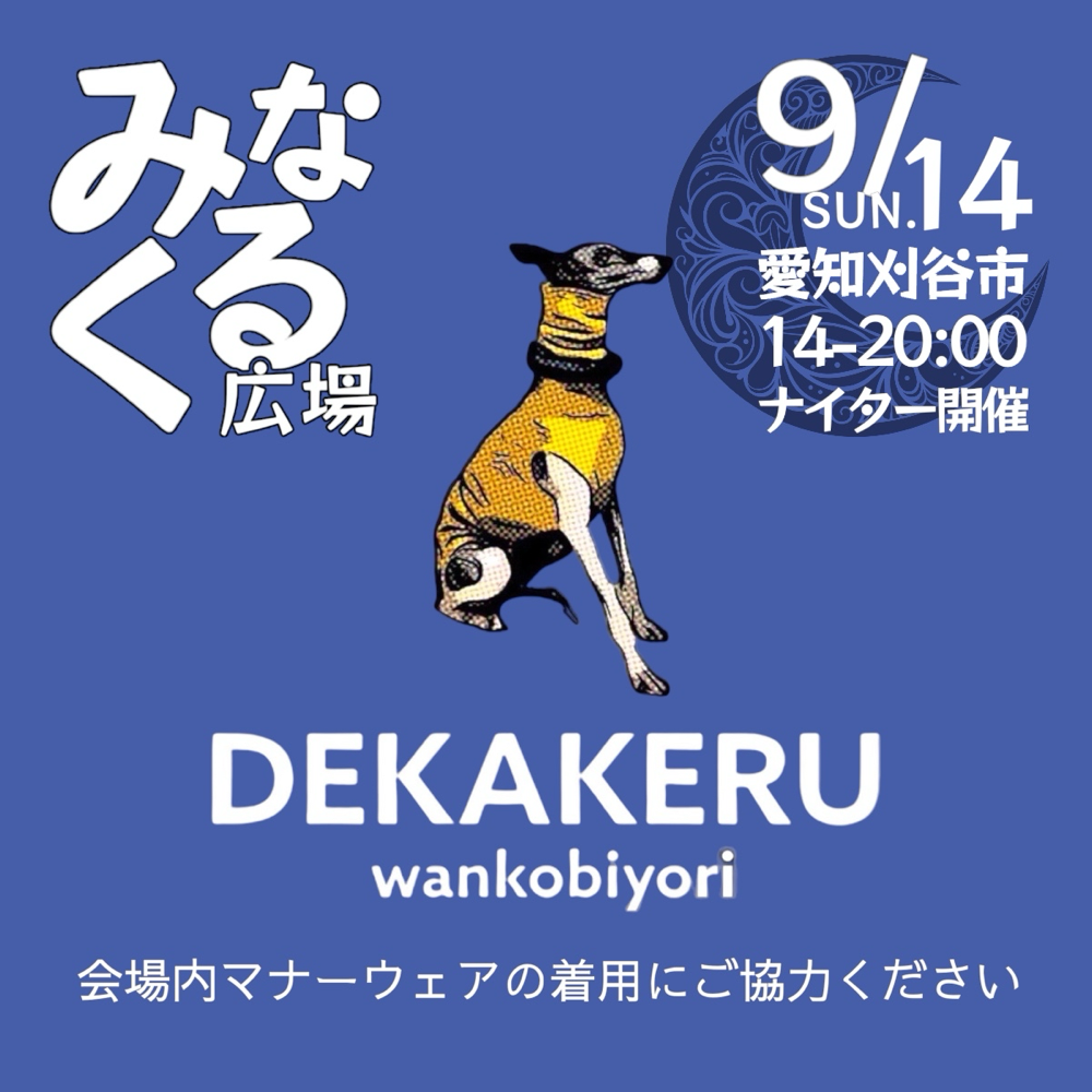 ナイター開催　お足元を照らす照明をご持参ください
