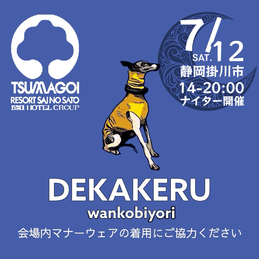ナイター開催　お足元を照らす照明をご持参ください