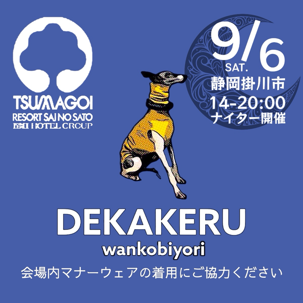 ナイター開催　お足元を照らす照明をご持参ください