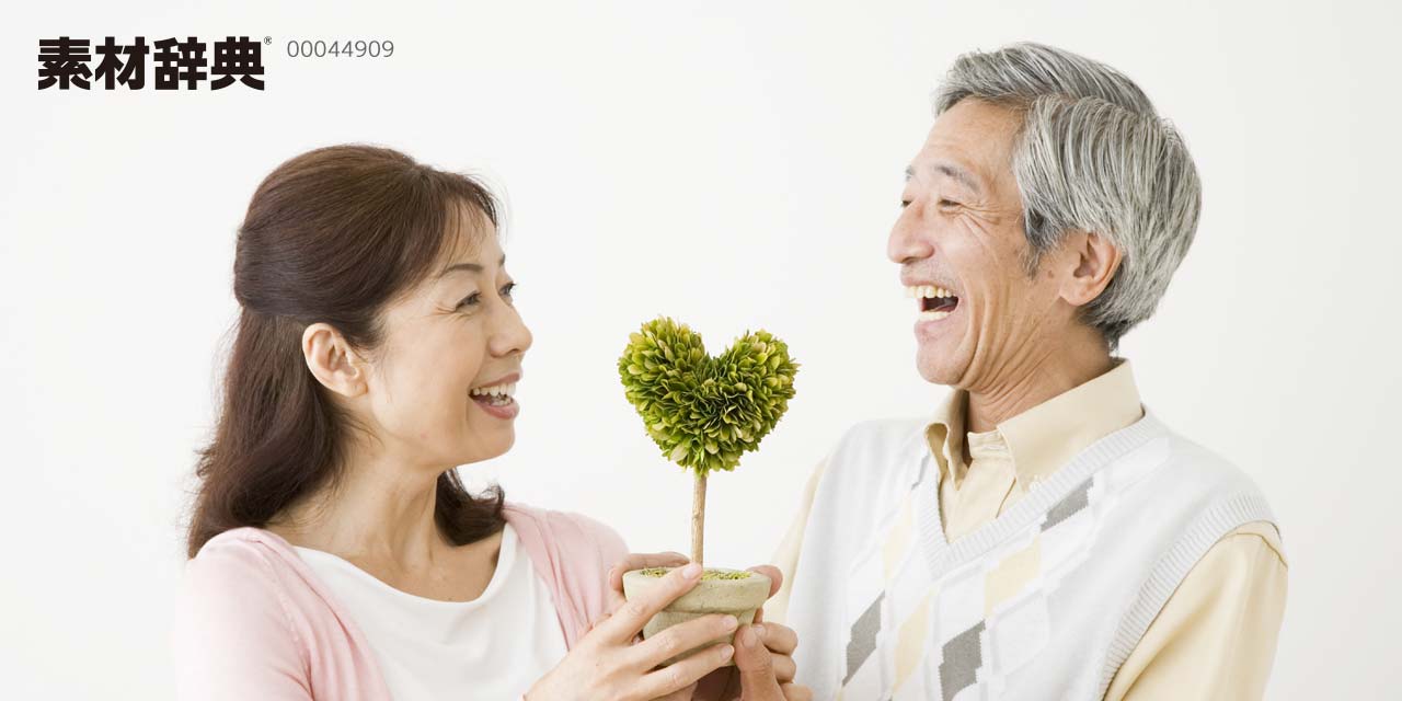 素材辞典」｜ブランド公式ページ｜sozaijiten.com - 「素材辞典