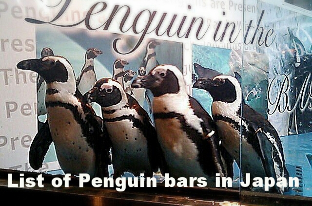 Penguin bar Source: Tabelog