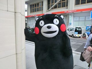 Original Kumamon from Kumamoto city