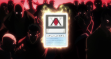 Hunter licence card Source: Hunter x Hunter Wiki