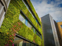 The Environment Department, University of York - Green Wall