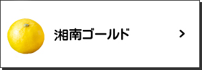 湘南ゴールド