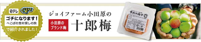 小田原のブランド梅　十郎梅