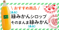 おすすめ商品　緑(あお)みかんシロップとそのまま緑(あお)みかん)