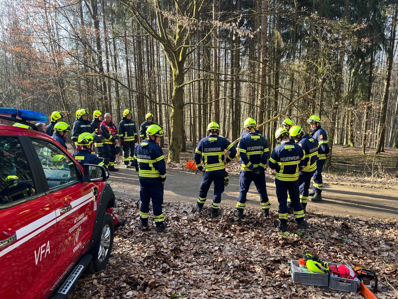 Waldbrandübung des Sonderdienstes