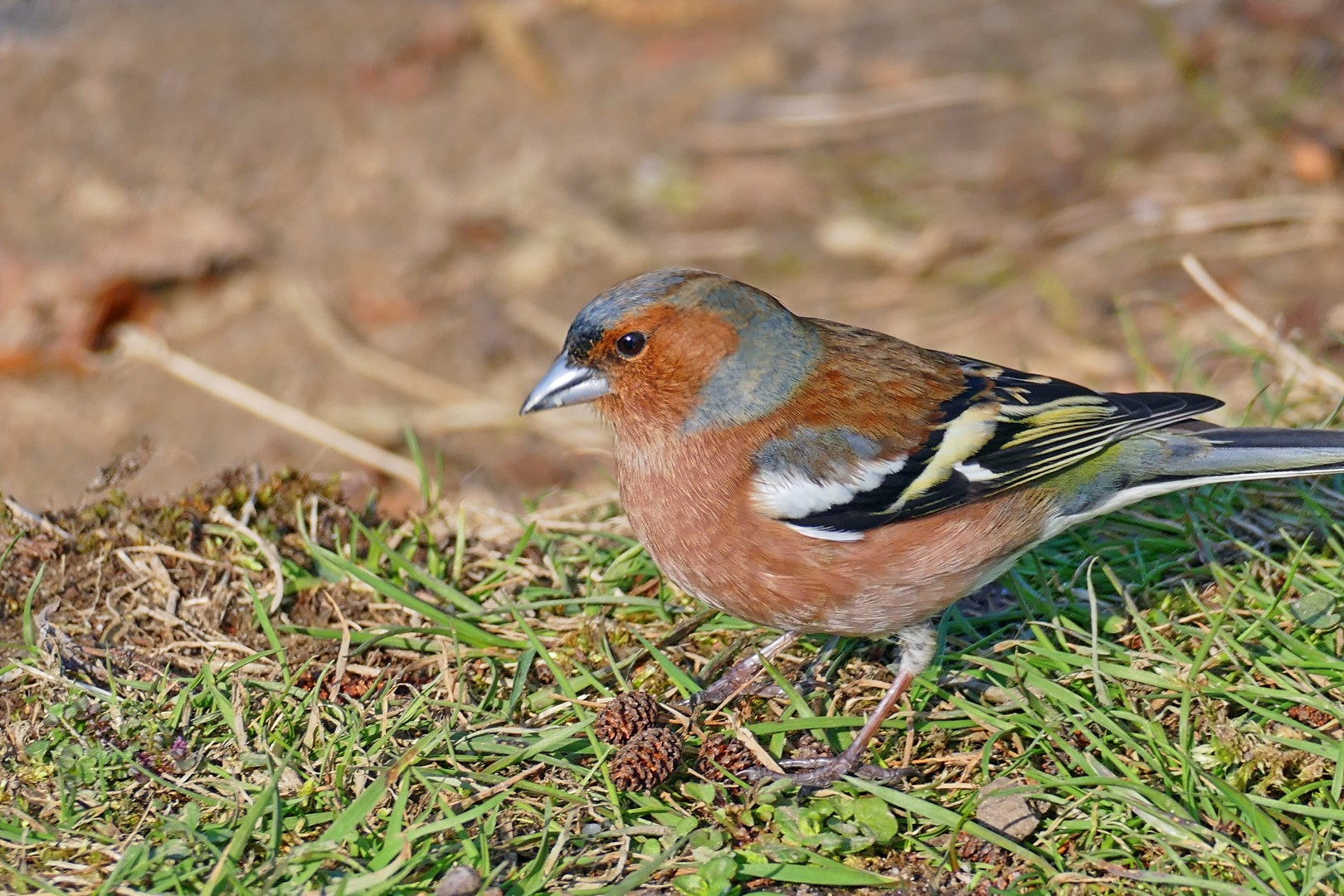 Blog - fotoclub-wuppertals Webseite!