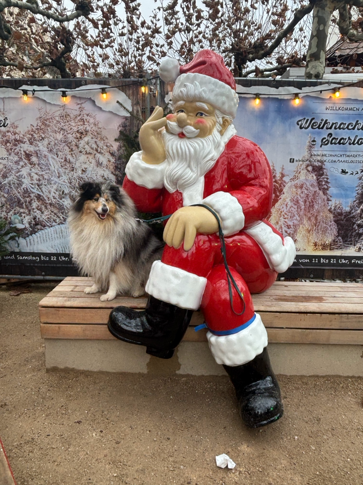 Und vor dem großen Nikolaus haben wir keine Angst ❤️