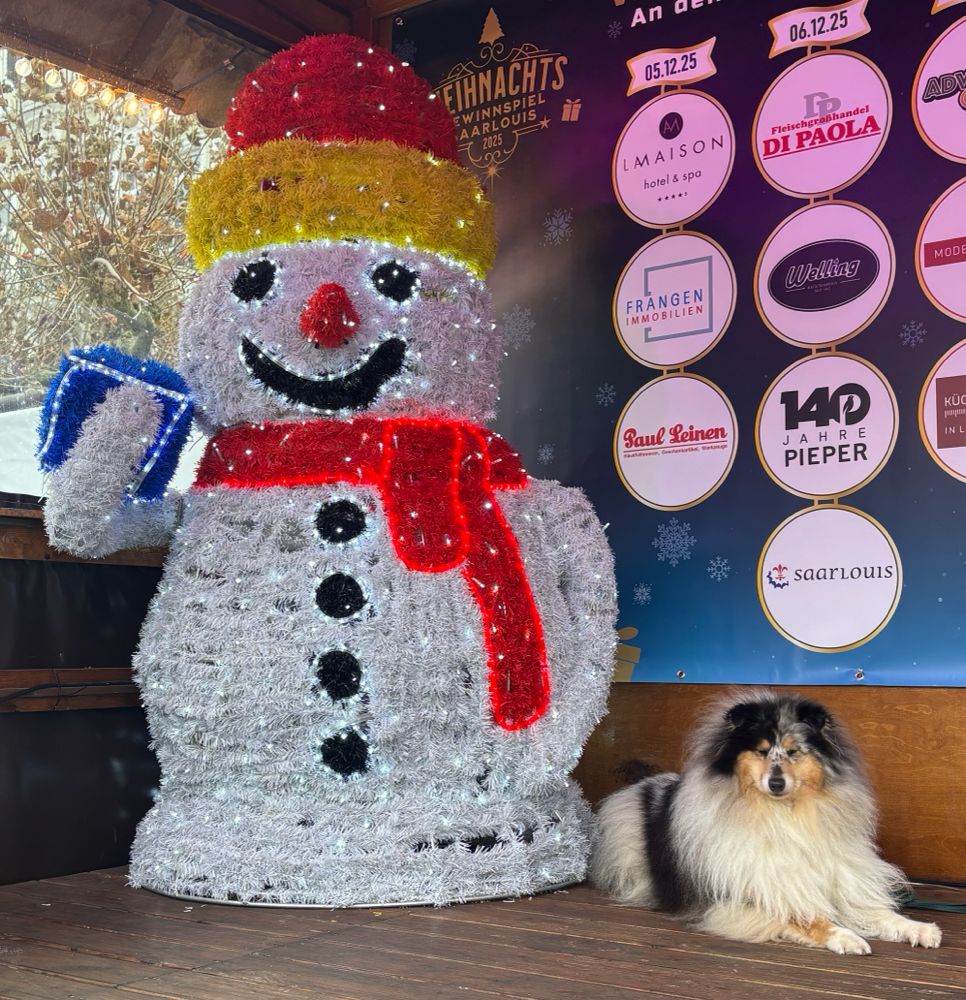 Auch der Schneemann kann mich nicht erschüttern 😂
