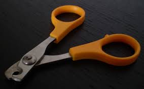 Per il taglio delle unghie si trovano in commercio forbici apposite che tagliano in modo netto e preciso. 
