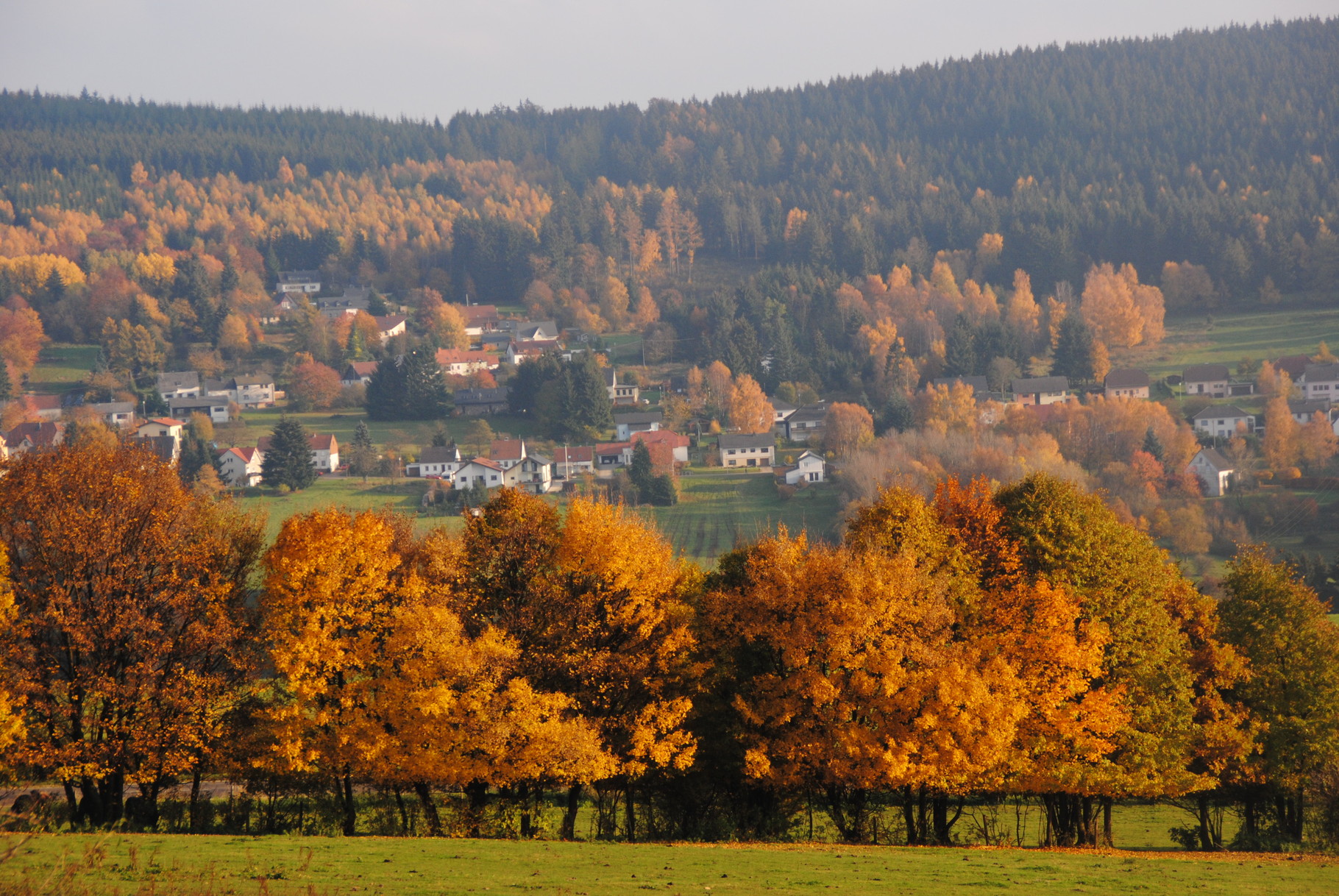Goldener Oktober