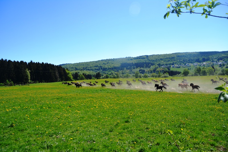 Auf in den Frühling...