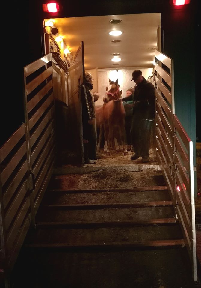  Mutig sind sie vom LKW geklettert und in ihr neues Zuhause eingezogen ..