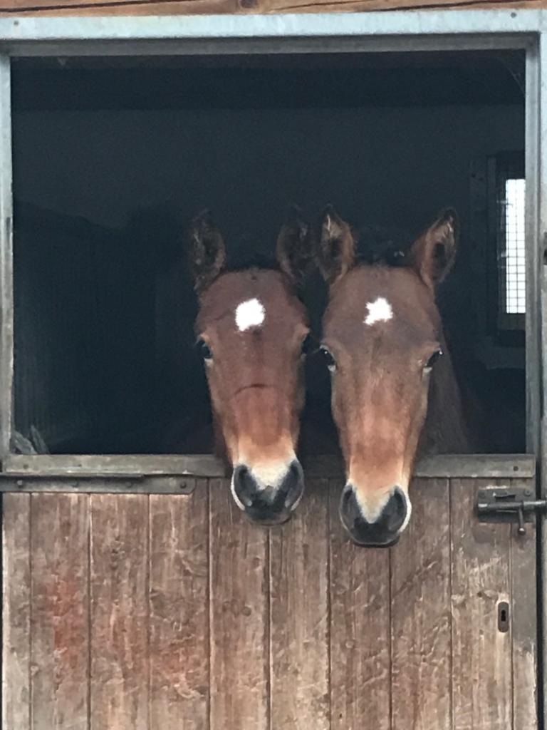 Alvaro und Eros