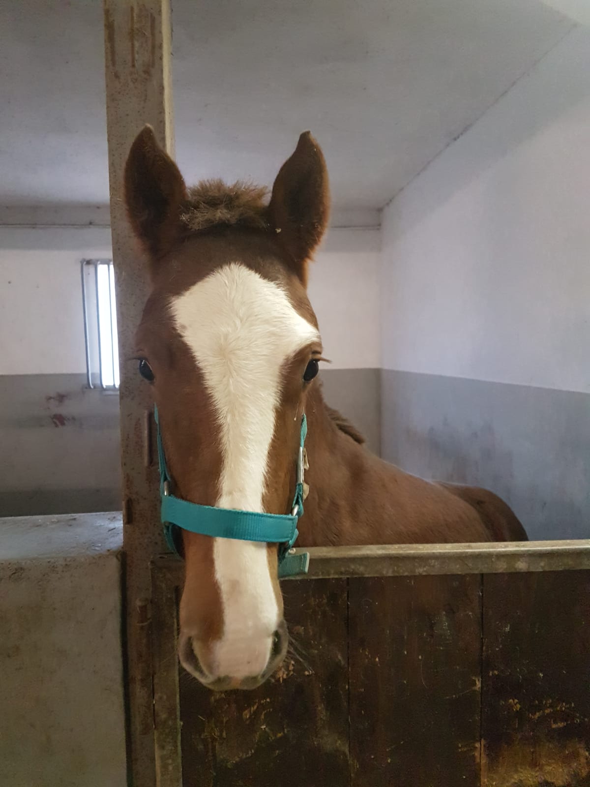 Ayka ist nun auch Zuhause angekommen !