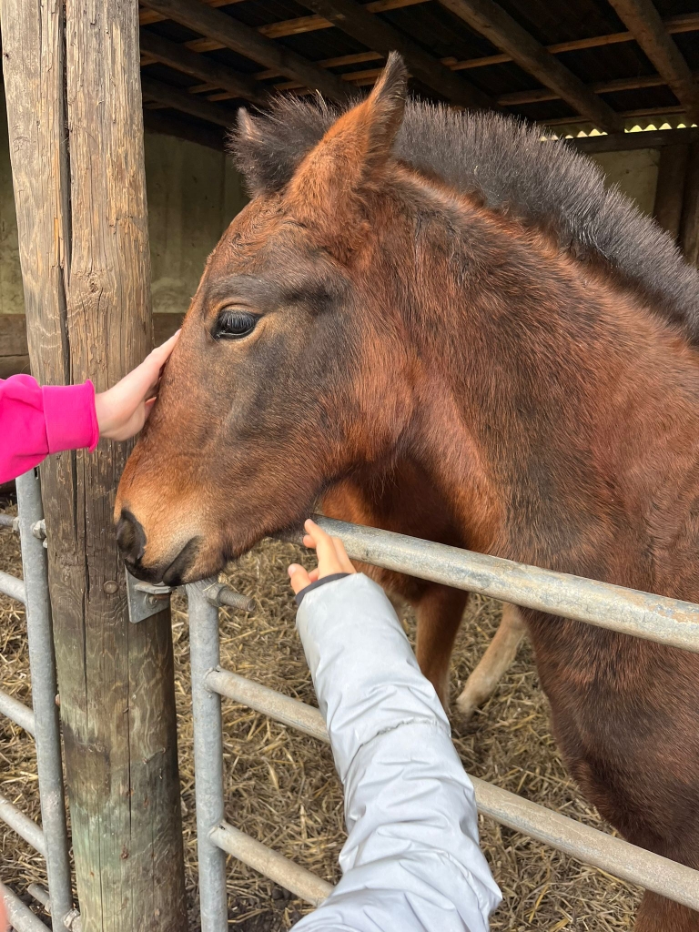 Boy geniesst die Streicheleinheiten der Kinder 