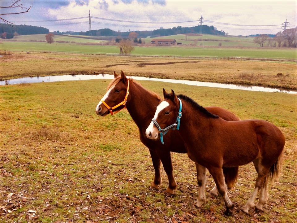Hilona mit Freundin   