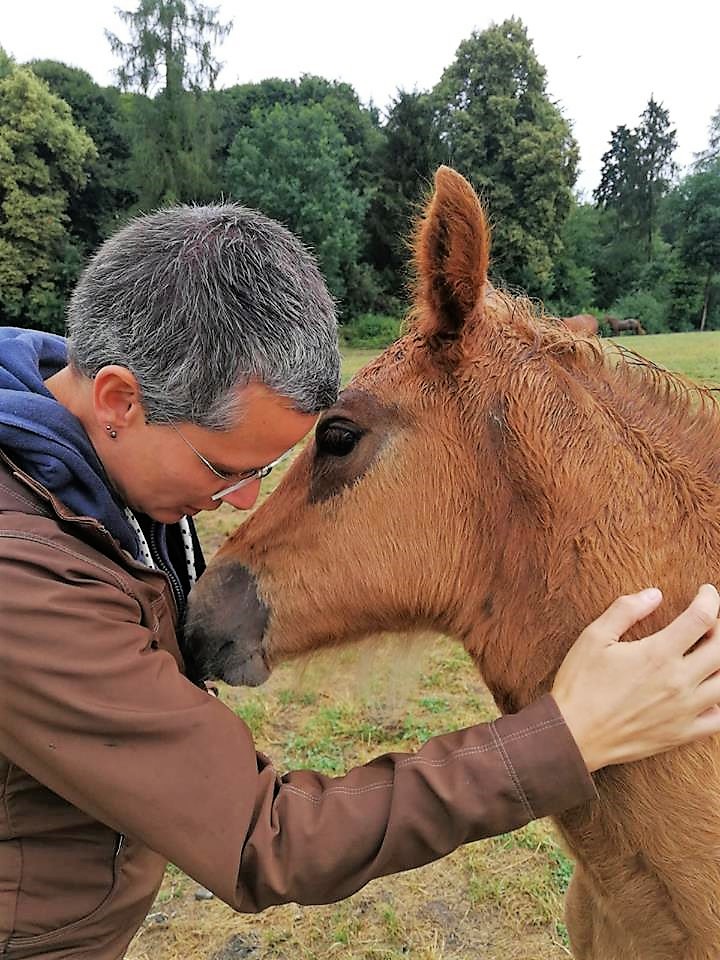 Ein Bild sagt mehr wie tausend Worte .....Viel Glück kleine Maus ! 