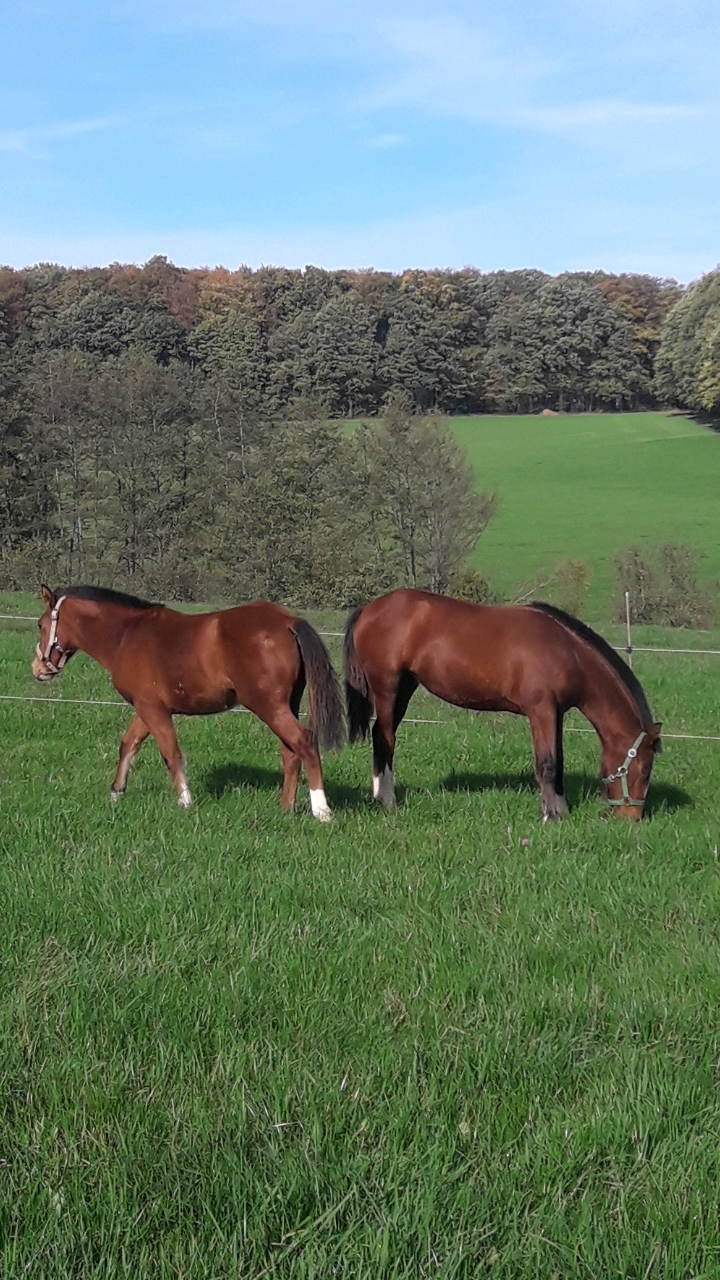 Velia und Viktoria 