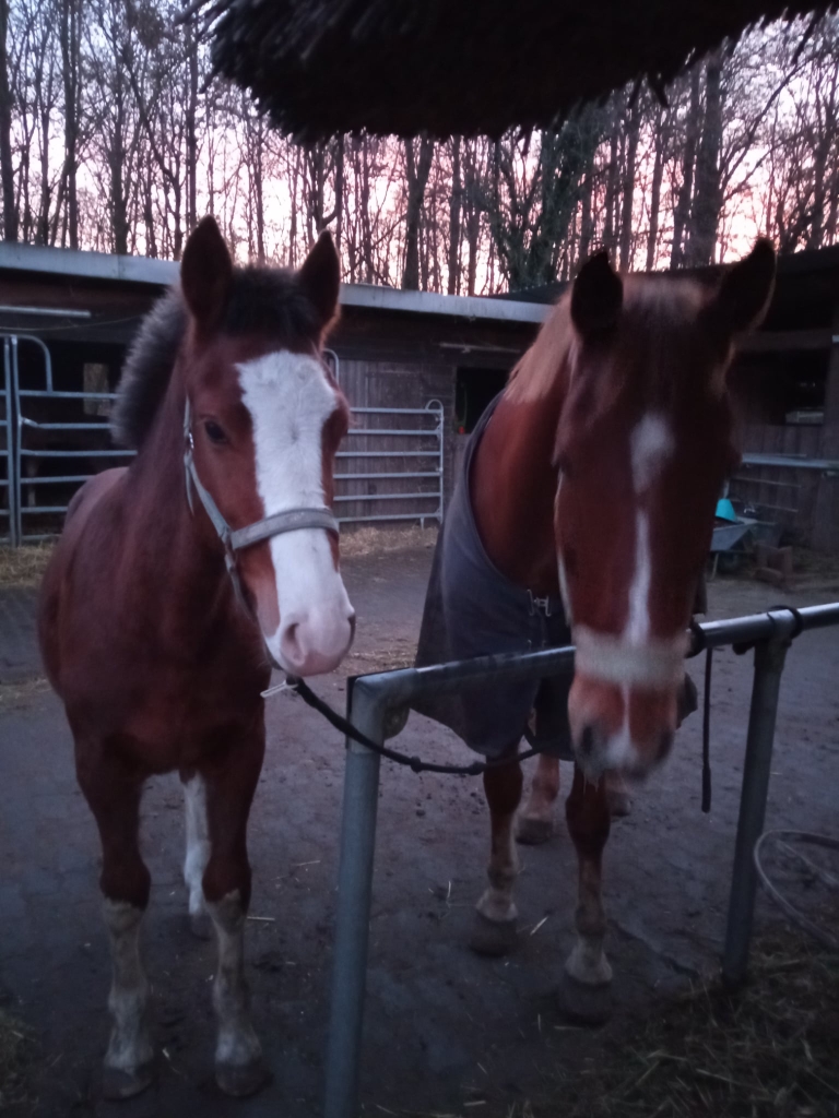 Cooper ( Links ) mit Freund .