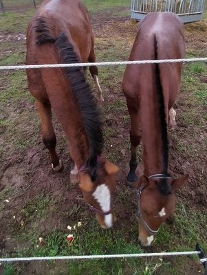 Ronja mit Freundin 
