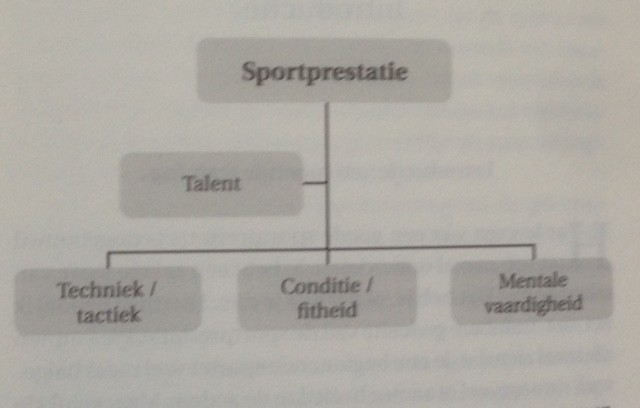 Foto: uit Sportgek van Edith RozendaaL