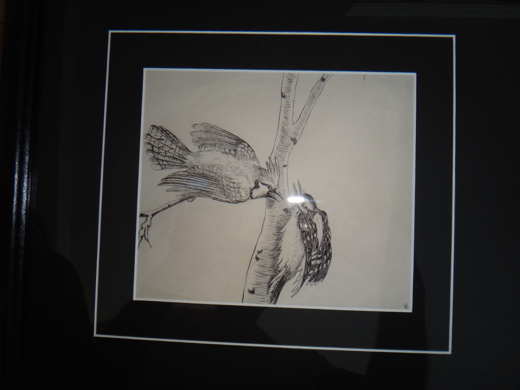 Framed original sketch by Louise de Kiriline Lawrence