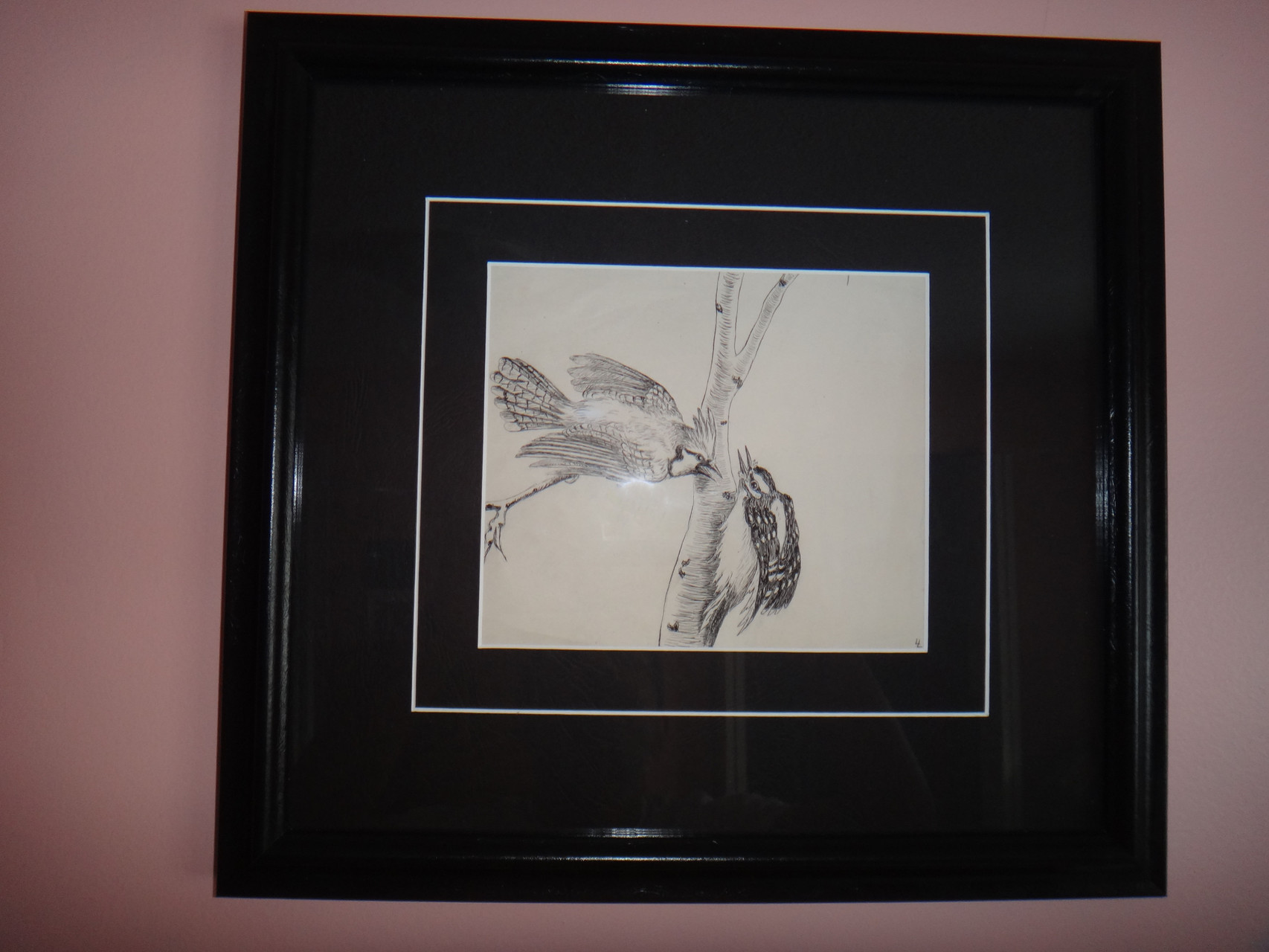 Framed original sketch by Louise de Kiriline Lawrence