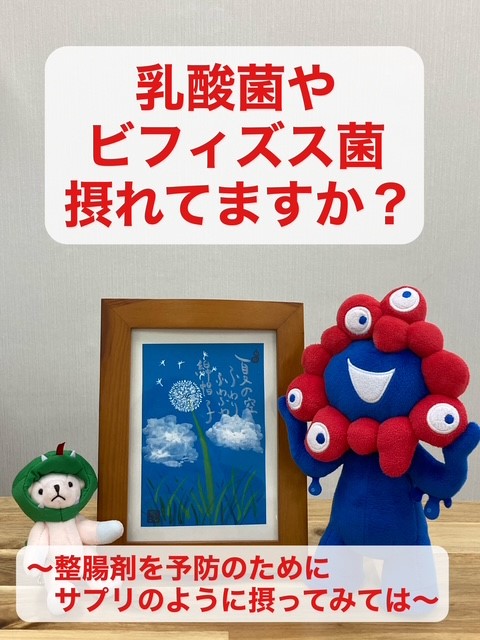 乳酸菌やビフィズス菌摂れてますか？  〜整腸剤を予防のためにサプリのように摂ってみては〜