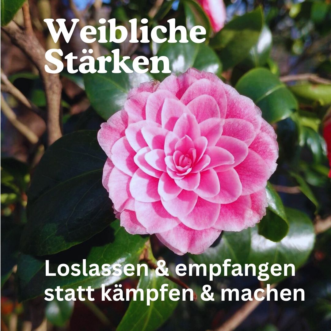 Weibliche Qualitäten – Loslassen & Empfangen statt kämpfen und machen