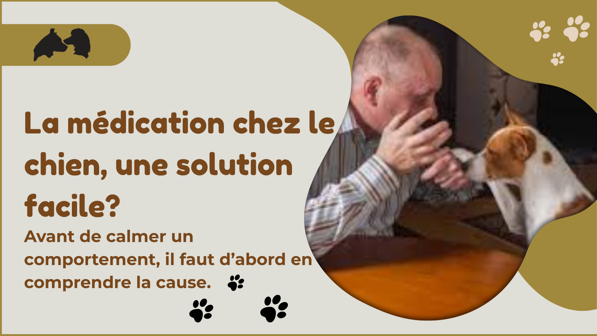La médication chez le chien: une solution facile?