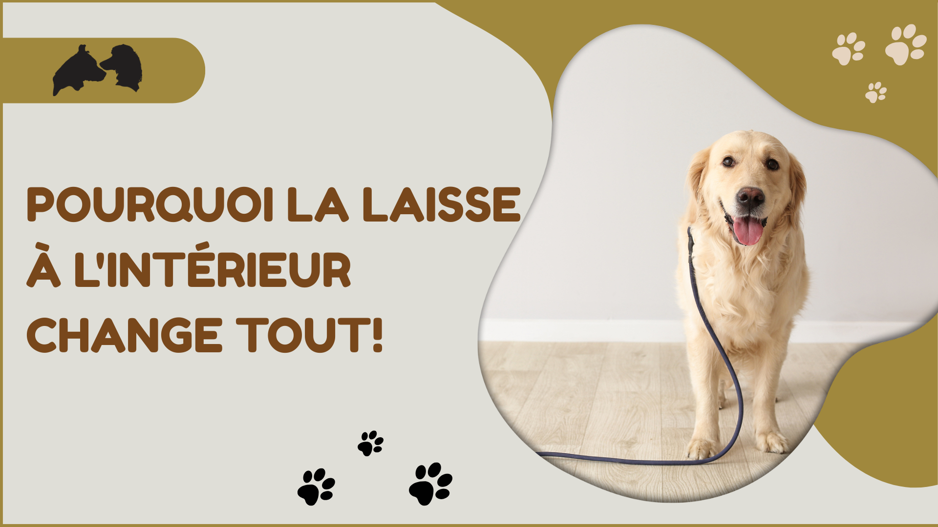 Pourquoi la laisse à l'intérieur change tout!