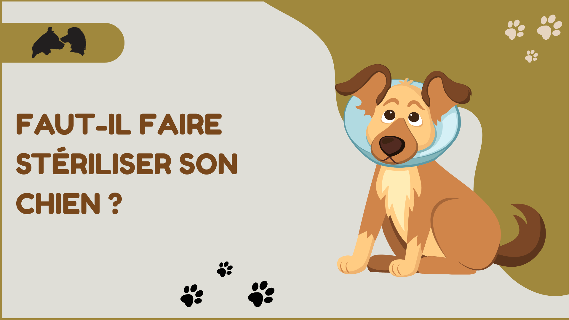 Faut-il faire stériliser son chien ?